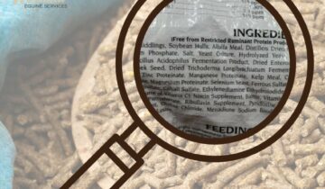 Simplifying Equine Nutrition