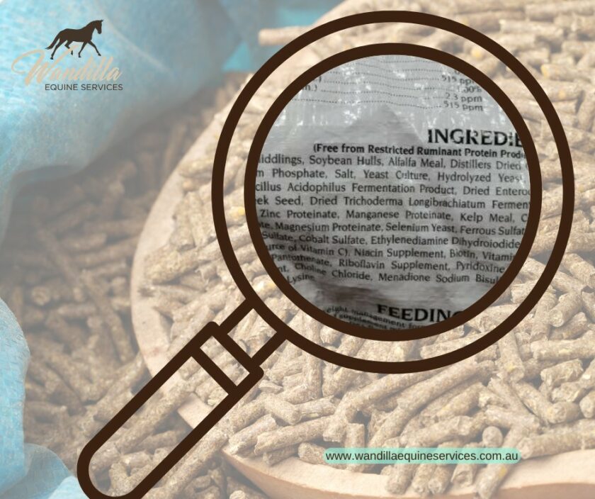 Equine Nutrition Consultation
