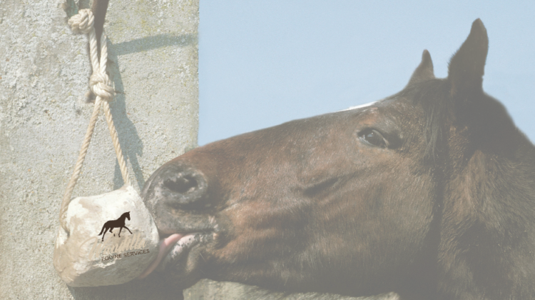 The Essential Role of Salt for Your Horse’s Diet.