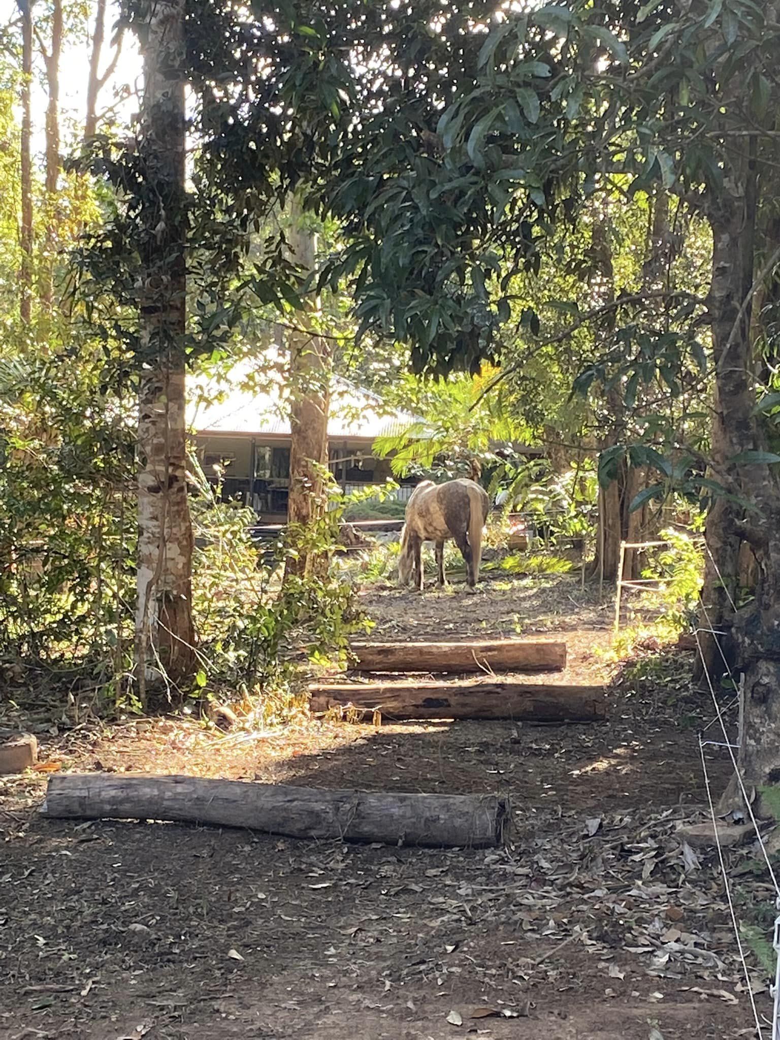 TOMA - Active Agistment